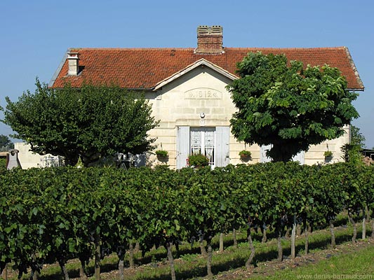 Vines of Château Les Gravières