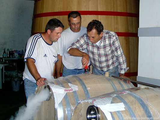 Fermentation in barrels with dry ice protection
