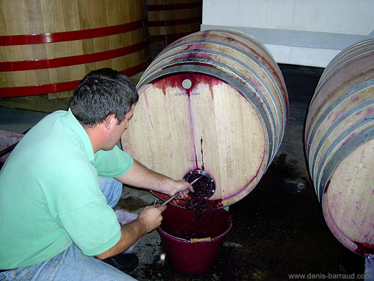 Removal of the marc after the first fermentation